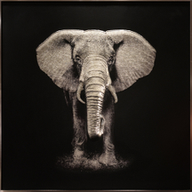 广州厂家直销简约现代装饰沙发背景墙3D大象动物玻璃琉璃彩艺术装饰画